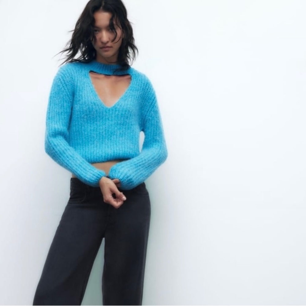 NWT Zara cropped sweater
